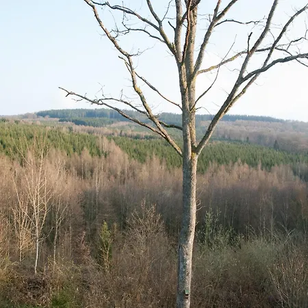 Dom wakacyjny Cozy Forest In Awenne, Cleaning Included